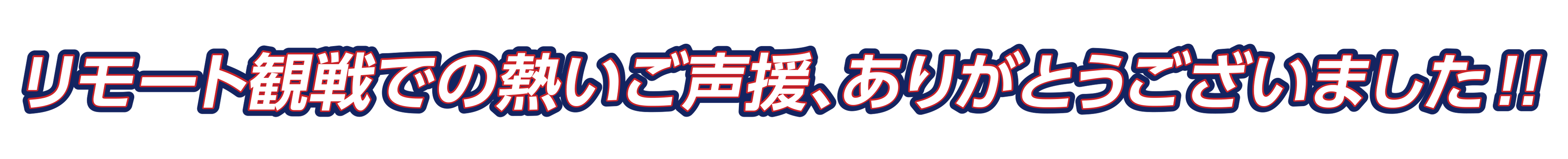 日本精工 女子ソフトボール部 ブレイブベアリーズ 日本精工 女子ソフトボール部 ブレイブベアリーズ